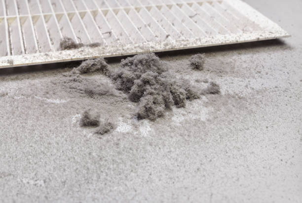 Best Air Quality Test  in Palmetto Estates, FL